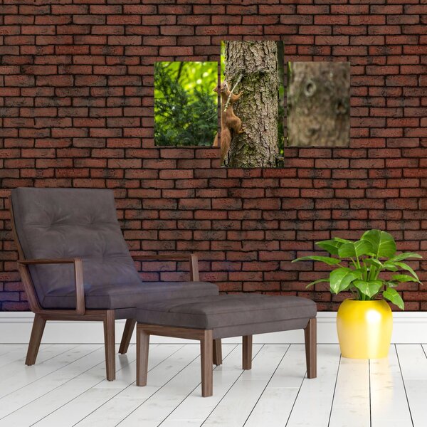 Slika - Vjeverica (90x60 cm)