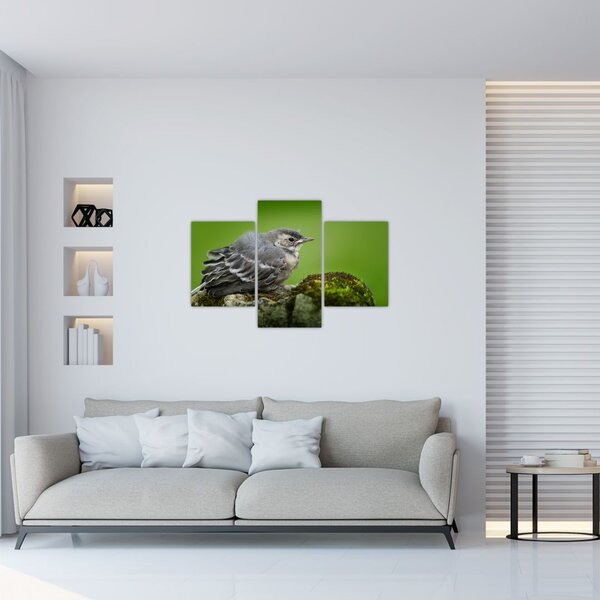 Slika - Ptica (90x60 cm)