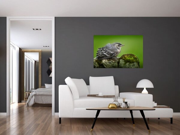 Slika - Ptica (90x60 cm)
