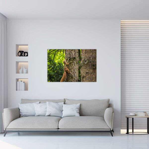 Slika - Vjeverica (90x60 cm)