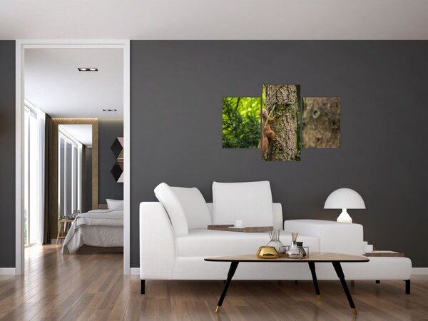 Slika - Vjeverica (90x60 cm)