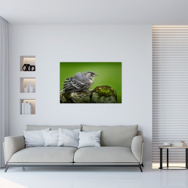 Slika - Ptica (90x60 cm)