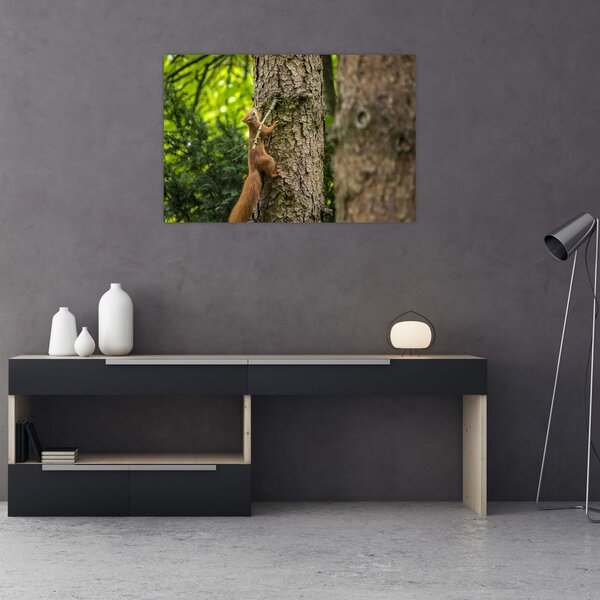 Slika - Vjeverica (90x60 cm)