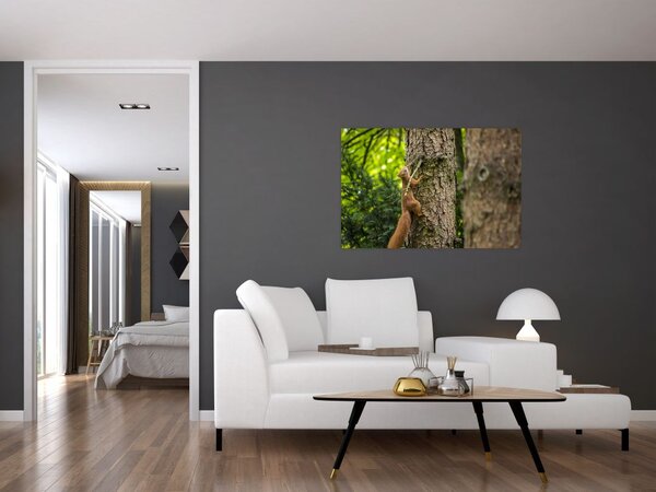 Slika - Vjeverica (90x60 cm)