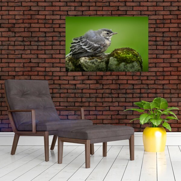Slika - Ptica (90x60 cm)