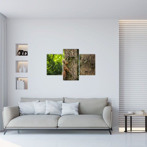 Slika - Vjeverica (90x60 cm)