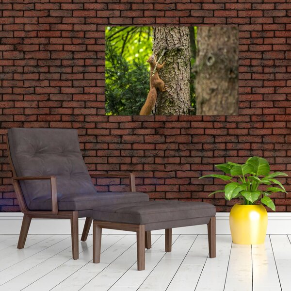 Slika - Vjeverica (90x60 cm)
