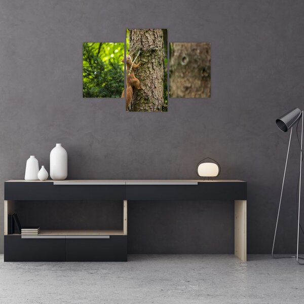 Slika - Vjeverica (90x60 cm)