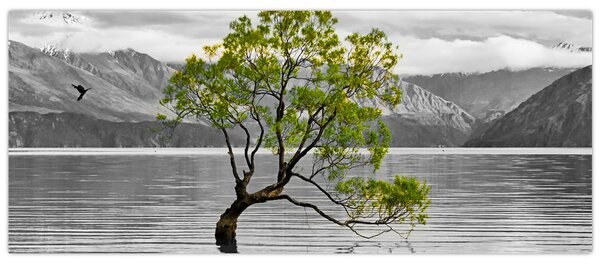 Slika stabla usred jezera (120x50 cm)