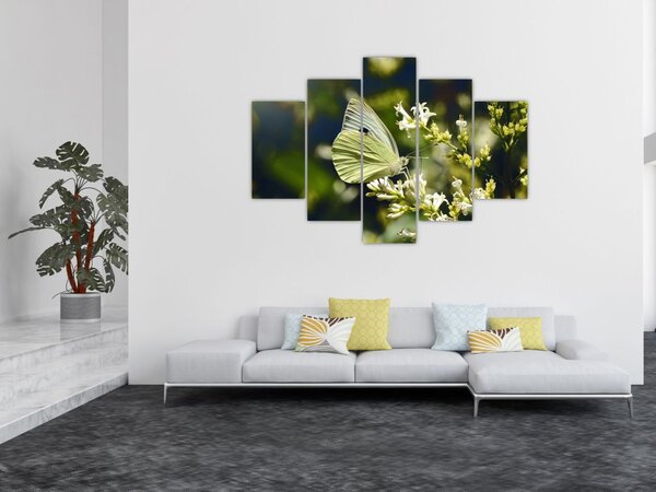 Slika leptira (150x105 cm)