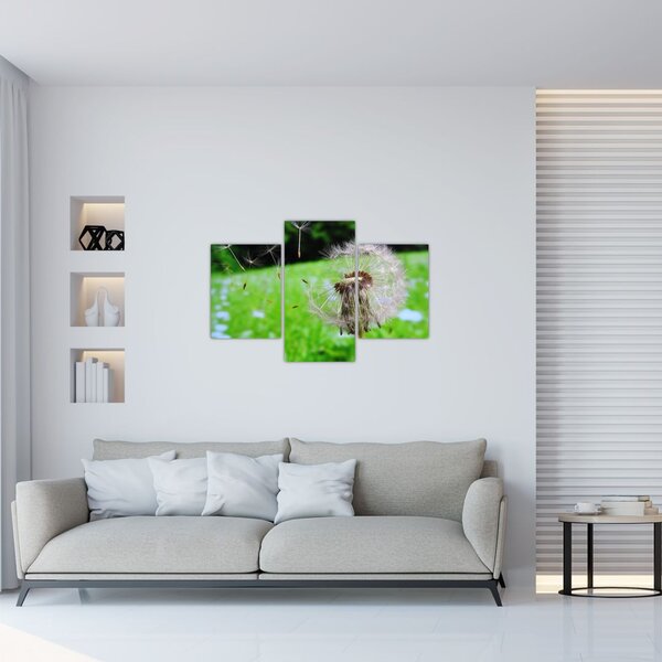 Slika maslačka (90x60 cm)