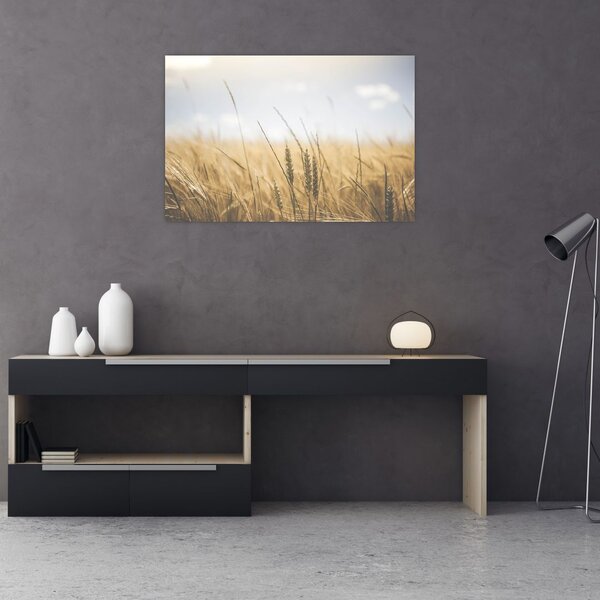 Slika žita (90x60 cm)
