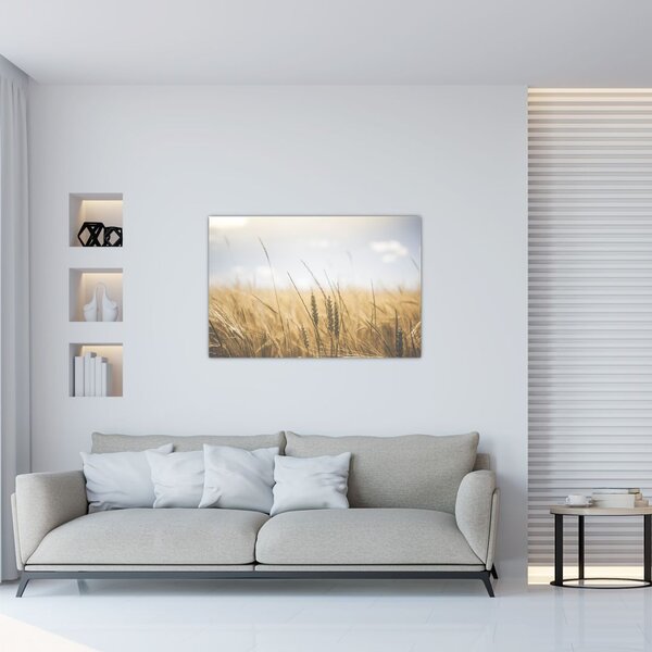 Slika žita (90x60 cm)