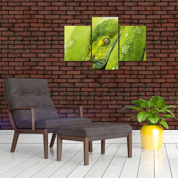 Slika zmije (90x60 cm)