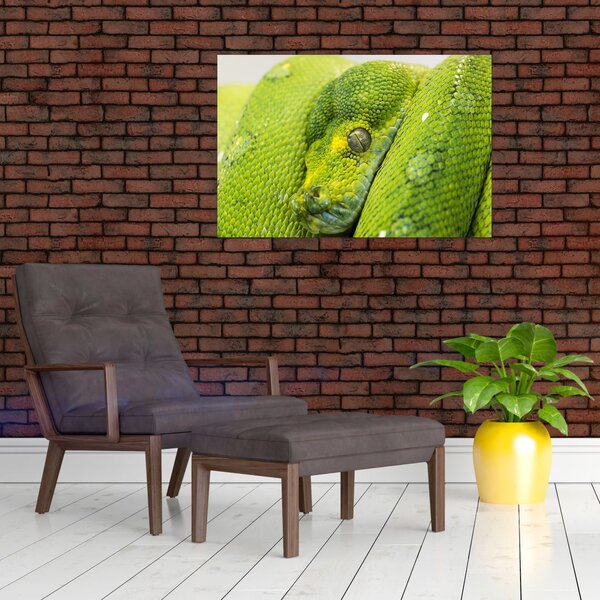 Slika zmije (90x60 cm)