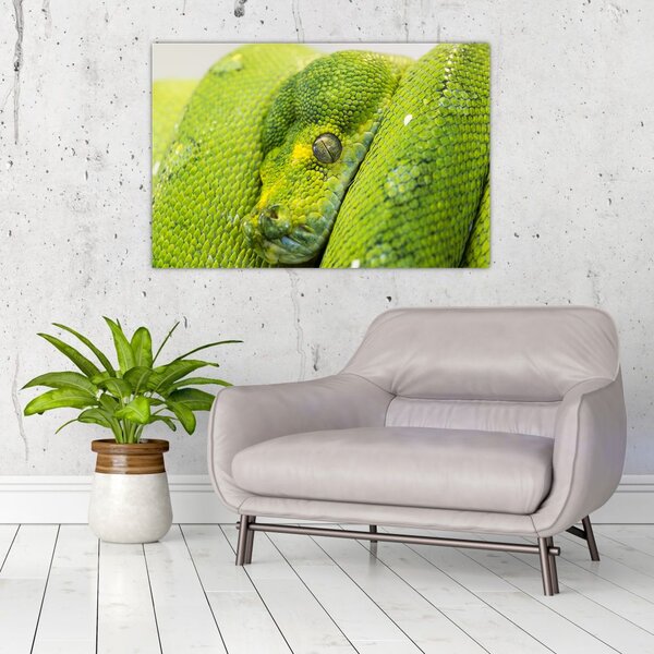 Slika zmije (90x60 cm)