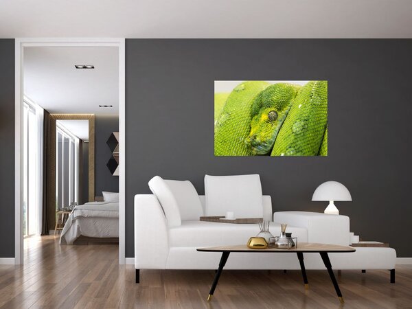Slika zmije (90x60 cm)
