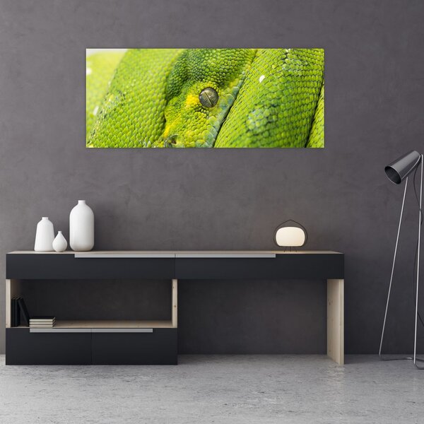Slika zmije (120x50 cm)