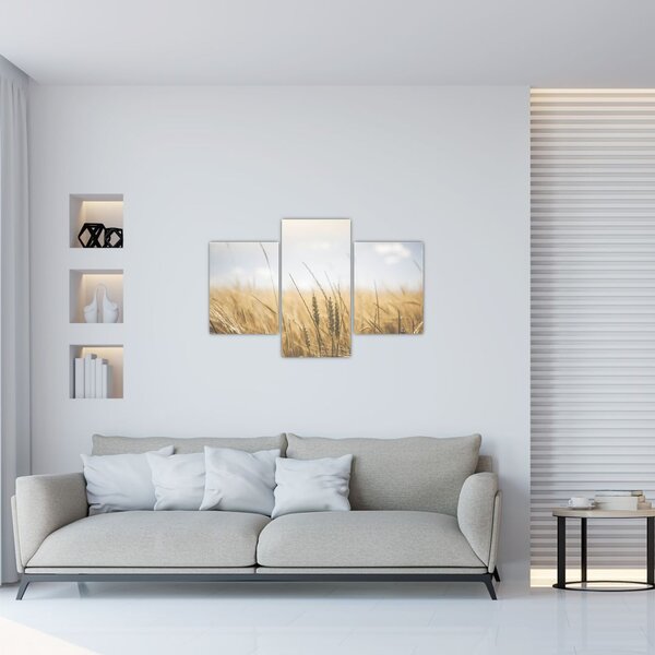 Slika žita (90x60 cm)