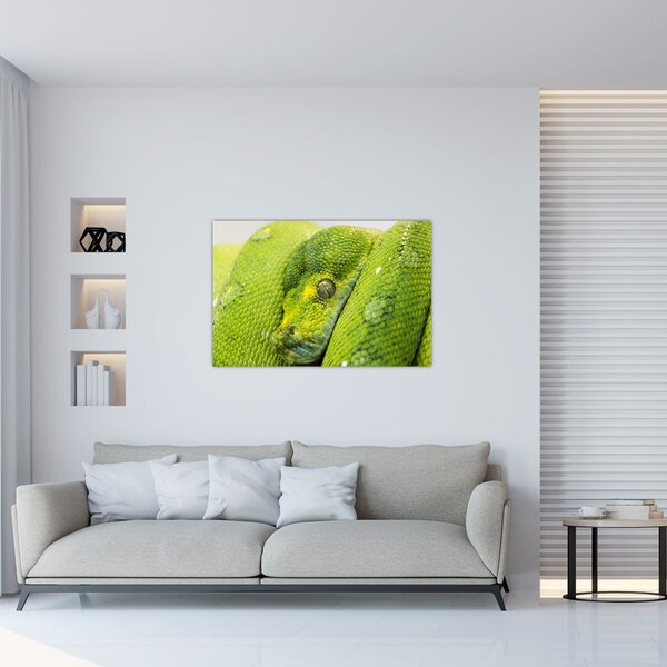 Slika zmije (90x60 cm)