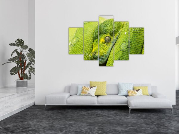 Slika zmije (150x105 cm)