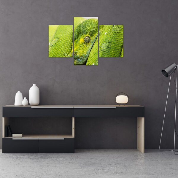 Slika zmije (90x60 cm)