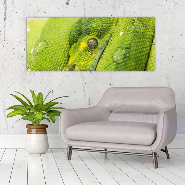Slika zmije (120x50 cm)