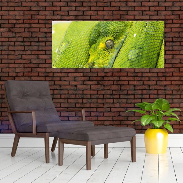 Slika zmije (120x50 cm)