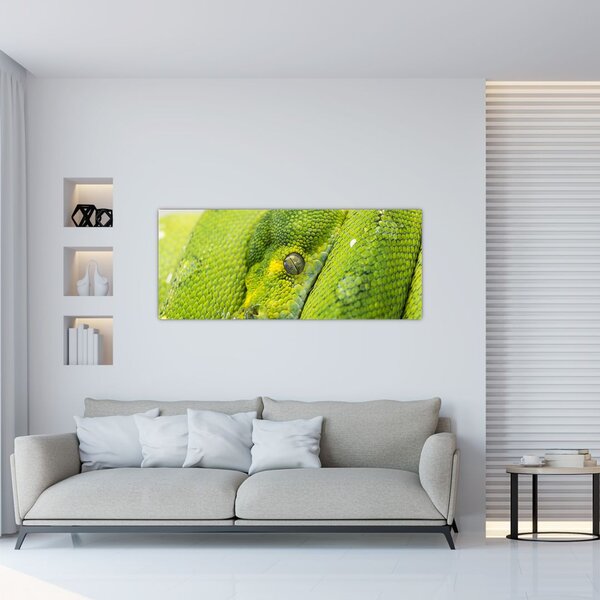 Slika zmije (120x50 cm)