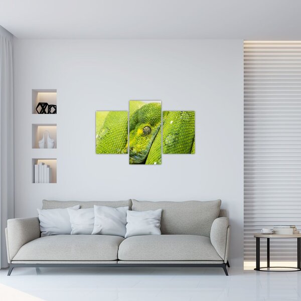 Slika zmije (90x60 cm)