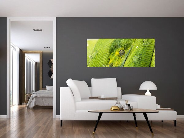Slika zmije (120x50 cm)