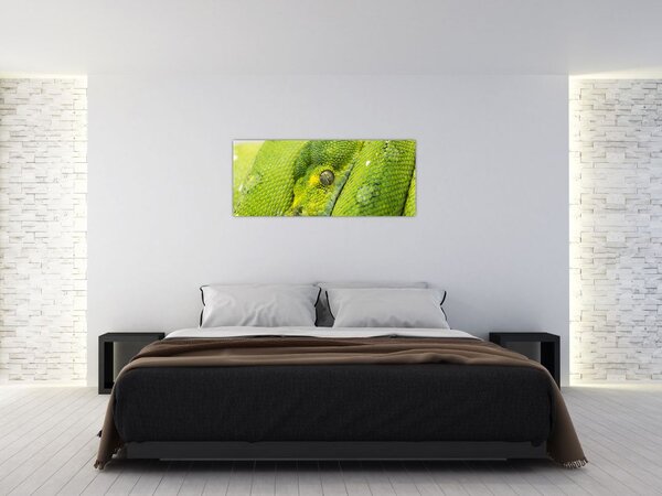 Slika zmije (120x50 cm)