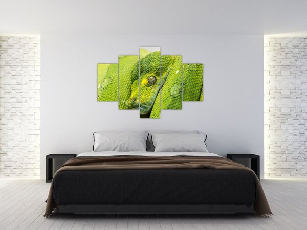 Slika zmije (150x105 cm)