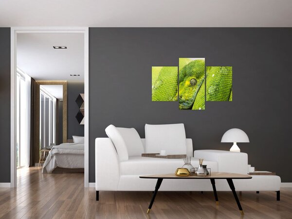 Slika zmije (90x60 cm)