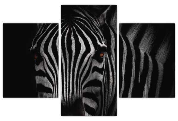 Slika zebre (90x60 cm)