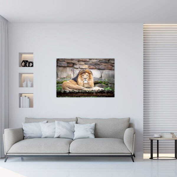 Slika lava (90x60 cm)