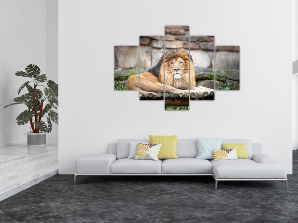 Slika lava (150x105 cm)