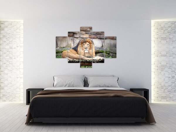 Slika lava (150x105 cm)