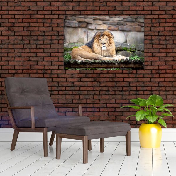 Slika lava (90x60 cm)