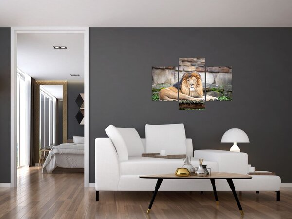 Slika lava (90x60 cm)