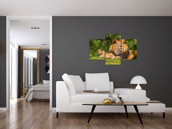 Slika lavova (90x60 cm)