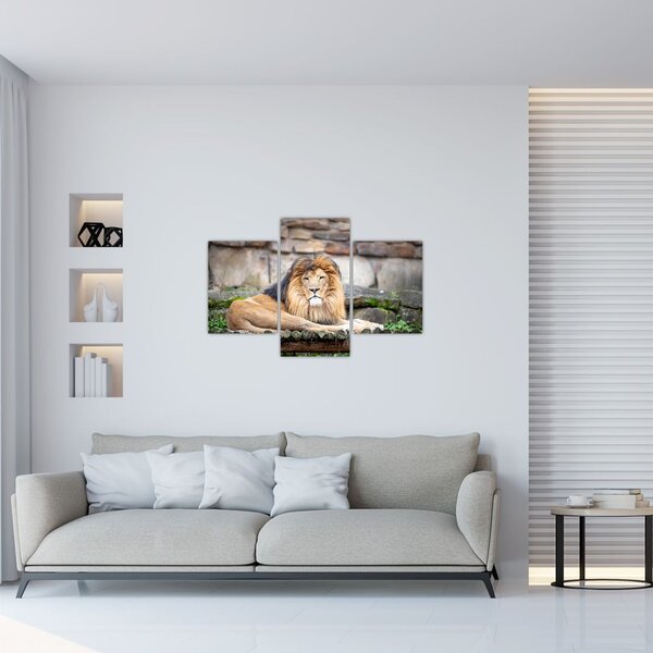 Slika lava (90x60 cm)