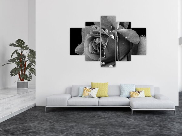 Slika ruže - crno-bijela (150x105 cm)