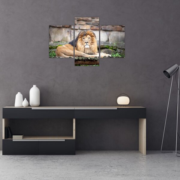 Slika lava (90x60 cm)