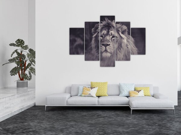 Slika lava (150x105 cm)