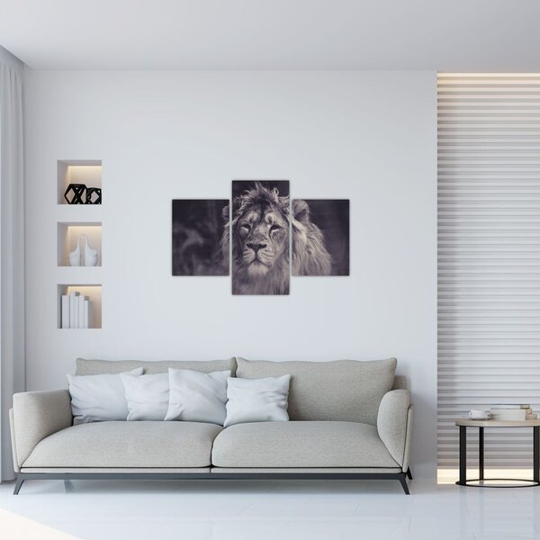 Slika lava (90x60 cm)