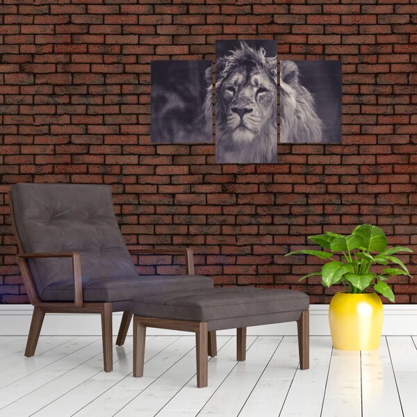 Slika lava (90x60 cm)