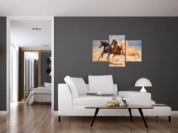 Slika - Divlji konji (90x60 cm)