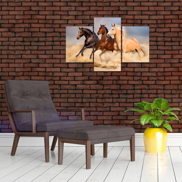 Slika - Divlji konji (90x60 cm)
