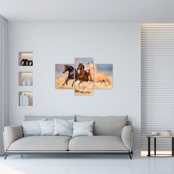 Slika - Divlji konji (90x60 cm)